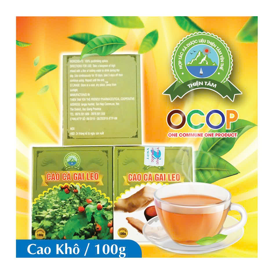 1 HỘP CAO CÀ GAI LEO / cao khô loại 100g